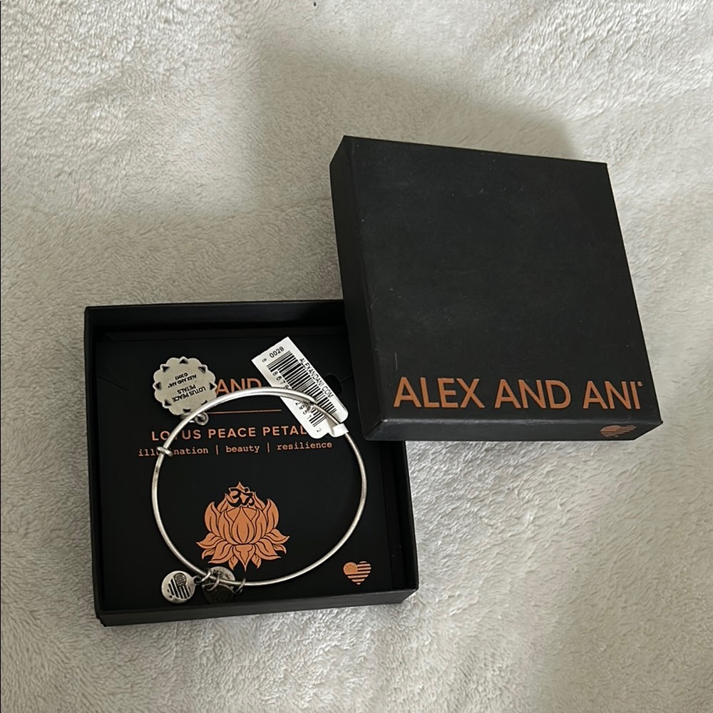 Alex and Ani Silver Bangle Bracelet